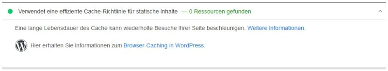 Google PageSpeed Insights Browser Caching aktiviert