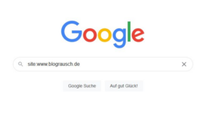 Indexierung prüfen durch Google Site-Abfrage